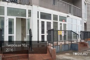 Тигровая-16а