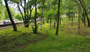 верхнепорт-6