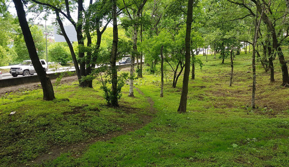 верхнепорт-6