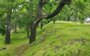 верхнепорт-7