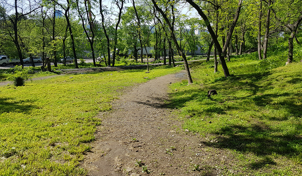 20200602_100906
